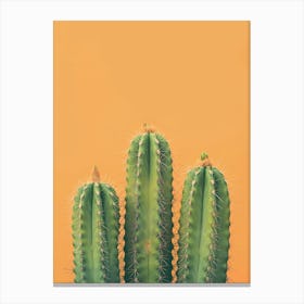 Cactus On Orange Background 3 Canvas Print