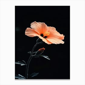 Hibiscus Flower 11 Canvas Print