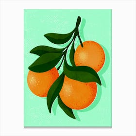 Oranges Canvas Print