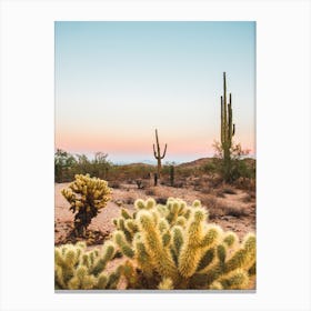 Cactus Desert Sunset Canvas Print