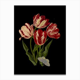 Red Tulips Canvas Print