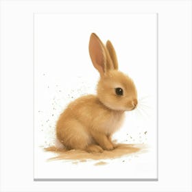Mini Rex Rabbit Nursery Illustration 4 Canvas Print
