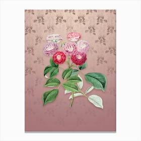 Vintage Seven Sister's Rose Botanical on Dusty Pink Pattern n.2545 Canvas Print
