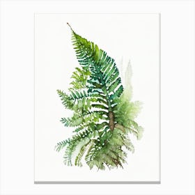 Dwarf Tree Fern 3 Watercolour Canvas Print