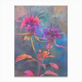 Iridescent Flower Bee Balm 1 Canvas Print