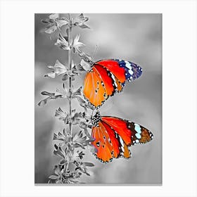 Two Butterflies On A Plant Canvas Print