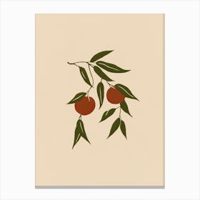 Fruit Tree Branch No 562 Canvas Print