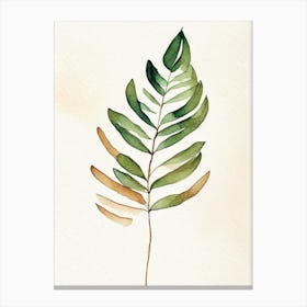 Tamarind Leaf Minimalist Watercolour Canvas Print