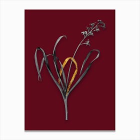 Vintage Dutch Hyacinth Black and White Gold Leaf Floral Art on Burgundy Red n.0849 Canvas Print