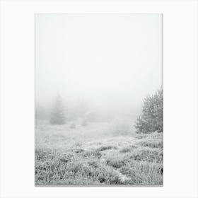 The House In The Forest Canvas Print