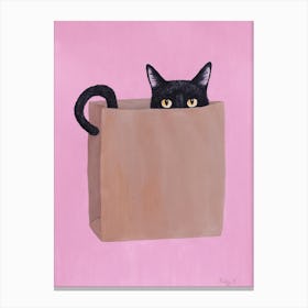Black Cat In Paper Bag Canvas Print
