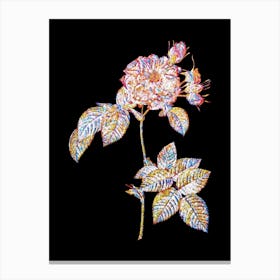 Stained Glass Pink Francfort Rose Mosaic Botanical Illustration on Black Canvas Print
