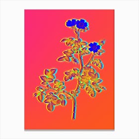 Neon White Sweetbriar Rose Botanical in Hot Pink and Electric Blue n.0076 Canvas Print