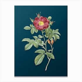 Vintage Red Portland Rose Botanical Art on Teal Blue n.0542 Canvas Print
