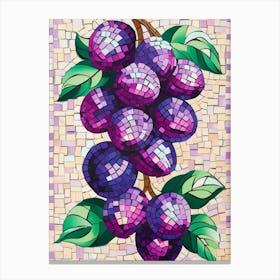 Purple Grapes Canvas Print