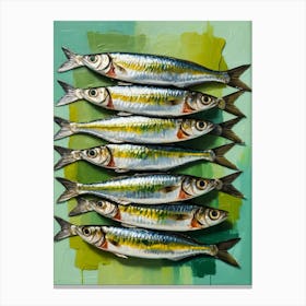 Sardines 24 Canvas Print