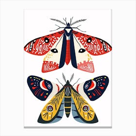 Colourful Insect Illustration Moth 30 Canvas Print