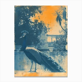 Orange & Blue Peacock With Palace In The Background 3 Canvas Print