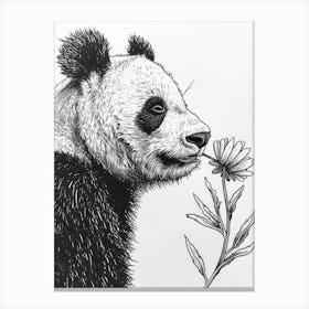 Giant Panda Sniffing A Flower Ink Illustration 2 Canvas Print