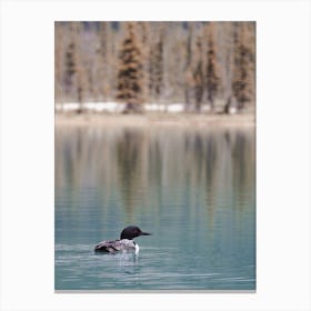 Duck In Blue Lake Canvas Print