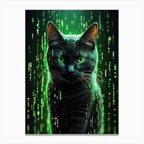 Black Cat With Green Eyes Canvas Print