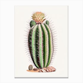 Echinocereus Cactus Marker Art 1 Canvas Print