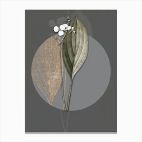 Vintage Botanical Bulltongue Arrowhead on Circle Gray on Gray n.0322 Canvas Print