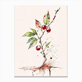 Wild Cherry Bark Herb Minimalist Watercolour 3 Canvas Print