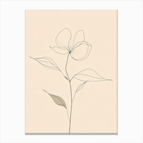 Line Drawing Of A Flower 4 Canvas Print