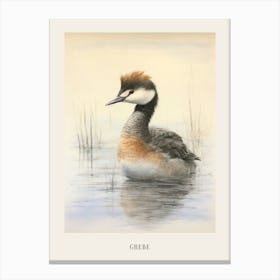 Vintage Bird Drawing Grebe 1 Poster Canvas Print