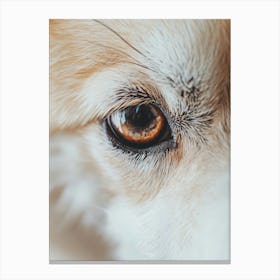 Close Up Of A Dog'S Eye. Generated with AI. Art Print Canvas Print