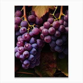 Purple Grapes Canvas Print