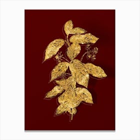 Vintage Broadleaf Spindle Botanical in Gold on Red n.0582 Canvas Print