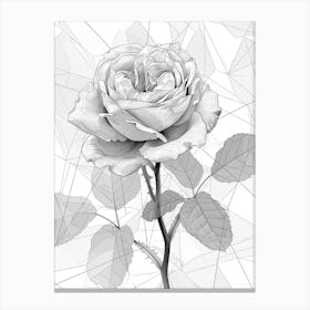 English Roses Painting Rose Geometric 7 Canvas Print