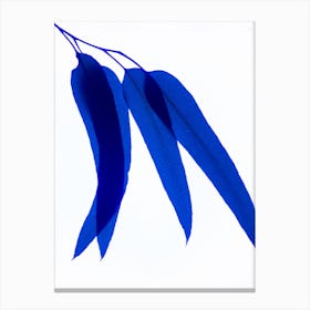Blue Leaf Iii 2 Canvas Print