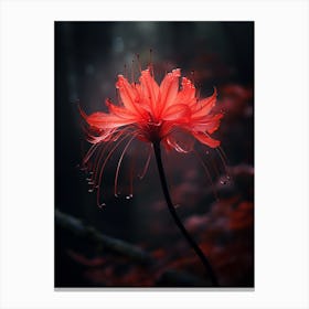 Red Flower Canvas Print