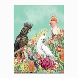 Cockatoos Of Australia Canvas Print