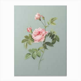 Vintage Pink Rose Turbine Botanical Art on Mint Green n.0938 Canvas Print