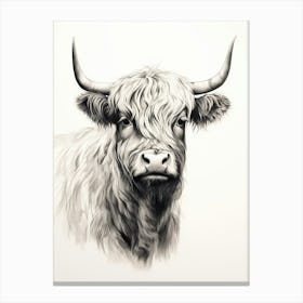 Black & White Ink Painting Of Highland Cow 8 Canvas Print