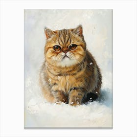 Exotic Shortrhair Cat Painting 2 Canvas Print