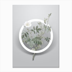 Vintage White Downy Rose Minimalist Floral Geometric Circle on Soft Gray n.0244 Canvas Print