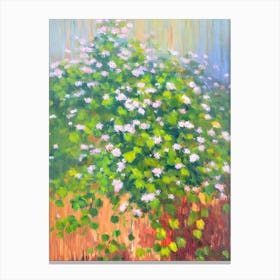 Maidenhair Vine 2 Impressionist Painting Plant Canvas Print