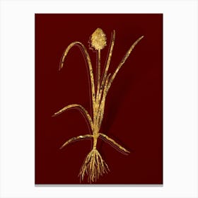Vintage Veltheimia Abyssinica Botanical in Gold on Red n.0424 Canvas Print