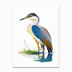 Javan Pond Heron Impressionistic 2 Canvas Print