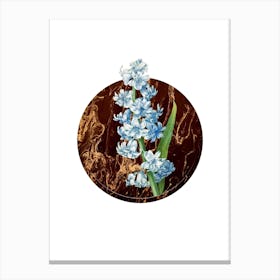 Vintage Orient Hyacinth Botanical in Gilded Marble on Clean White n.0029 Canvas Print