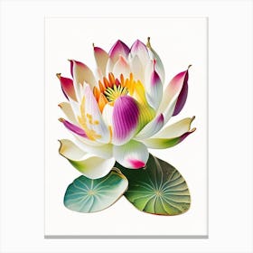 Early Lotus Decoupage 4 Canvas Print