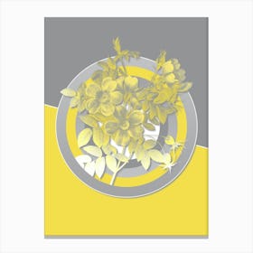 Vintage White Candolle Rose Botanical Geometric Art in Yellow and Gray n.265 Canvas Print