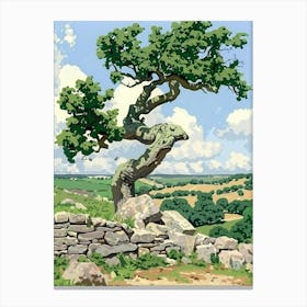 Tree In A Field 4 Canvas Print