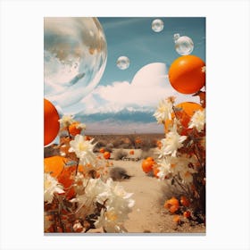 oranges in the desert 2 Canvas Print