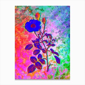 Sparkling Rose Botanical in Acid Neon Pink Green and Blue Canvas Print